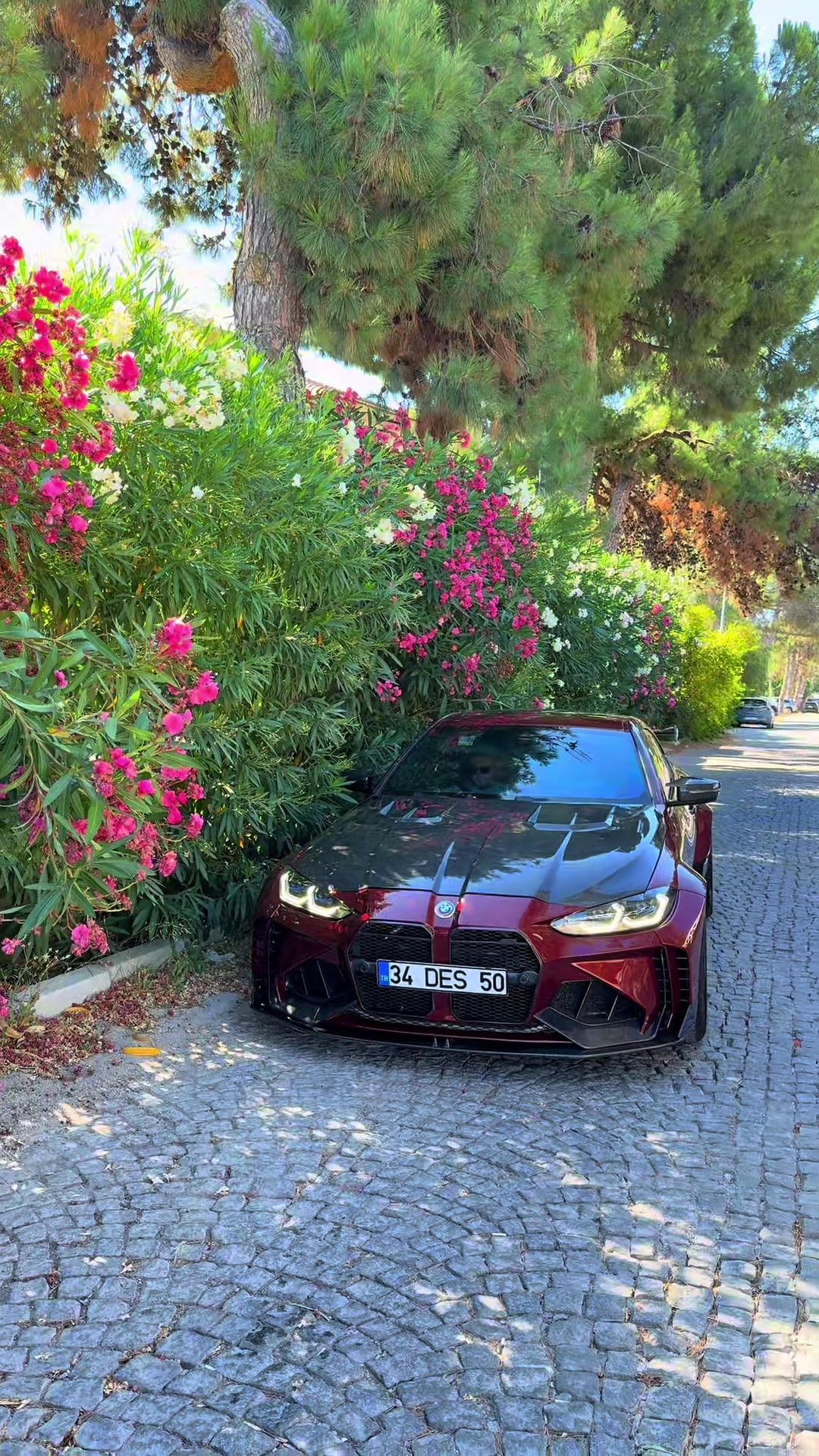 @bytuzcuoglu1