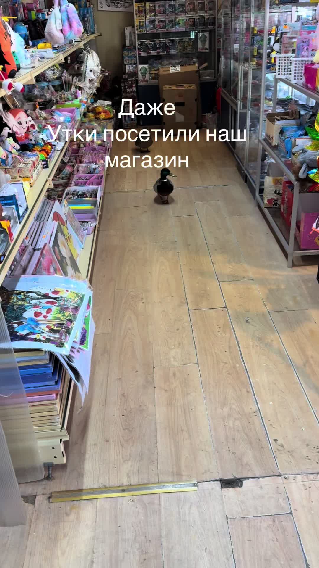 @COOL TOYS LATVIA