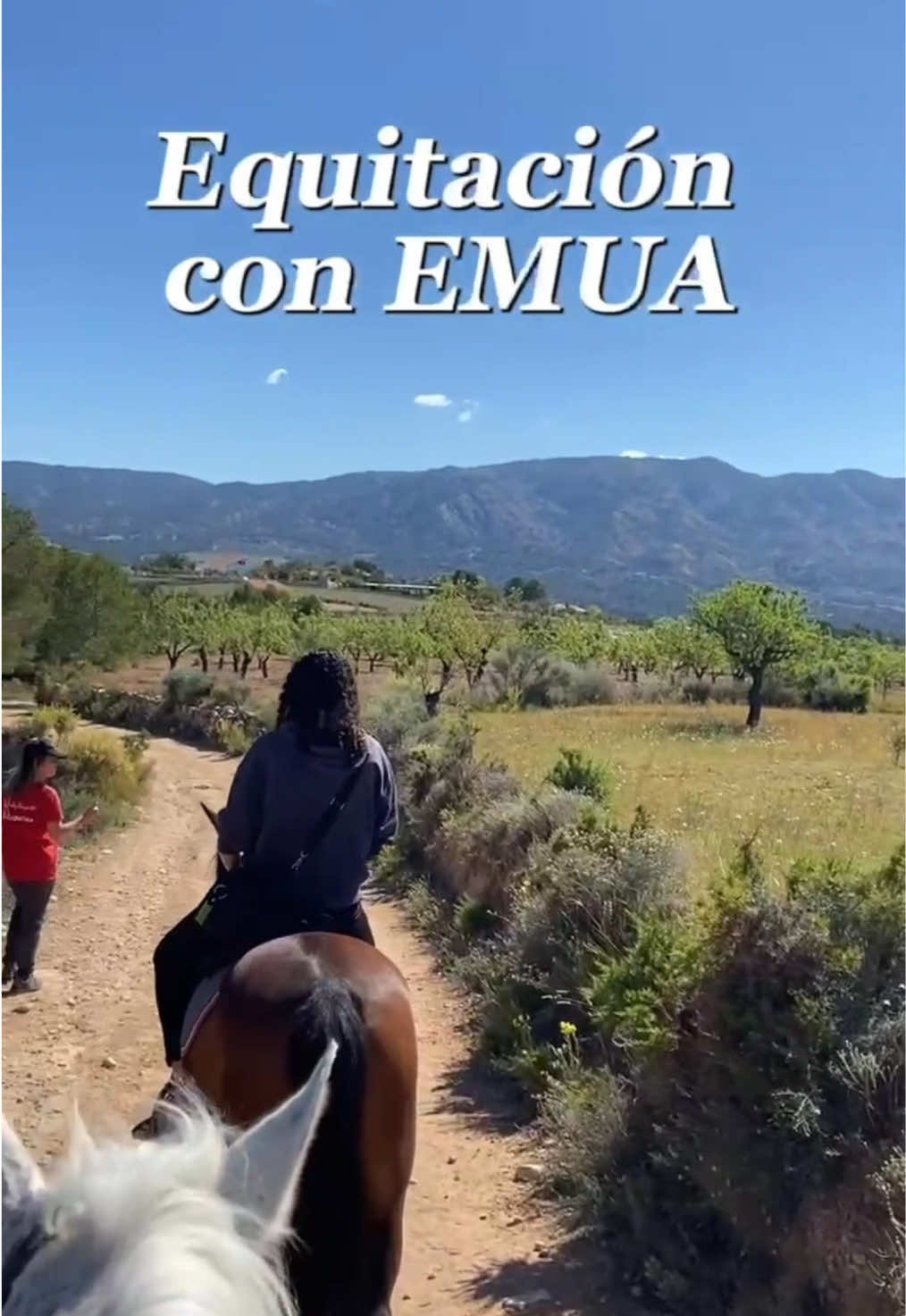 @emualicante_
