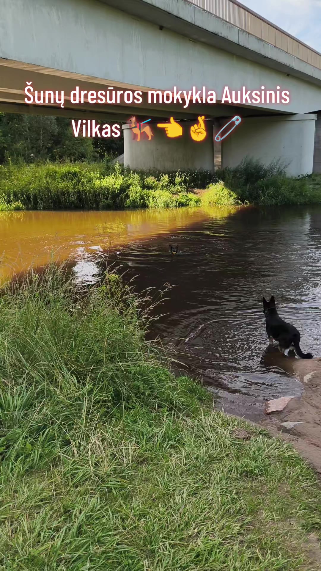 @Vidmantas Selvenis