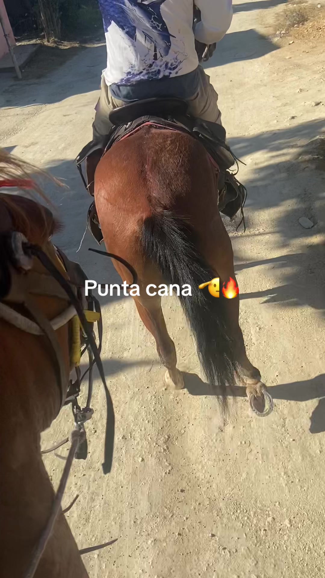 @El tal caballista ese 🤠