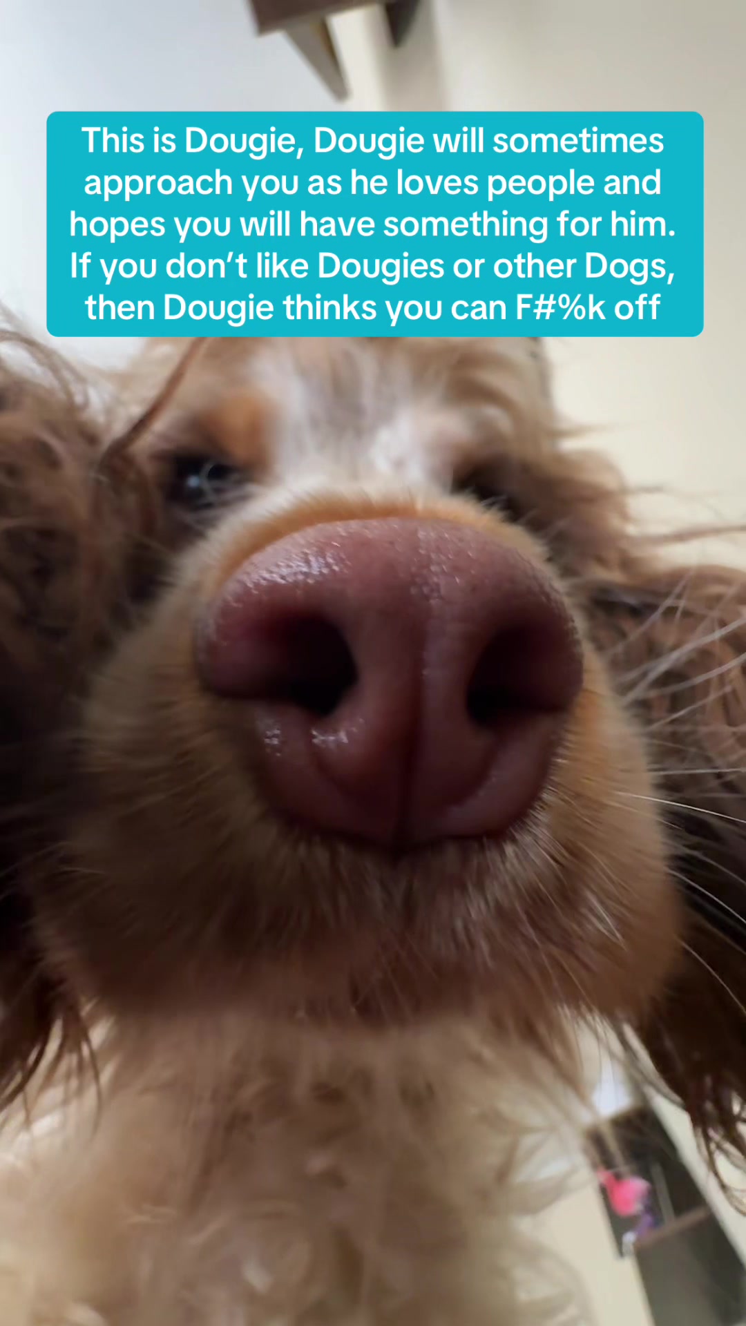 @Minnie & Dougie