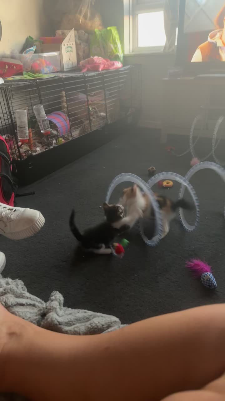 @ðâšRoxanneð«¶ðŒPjQueenâšð