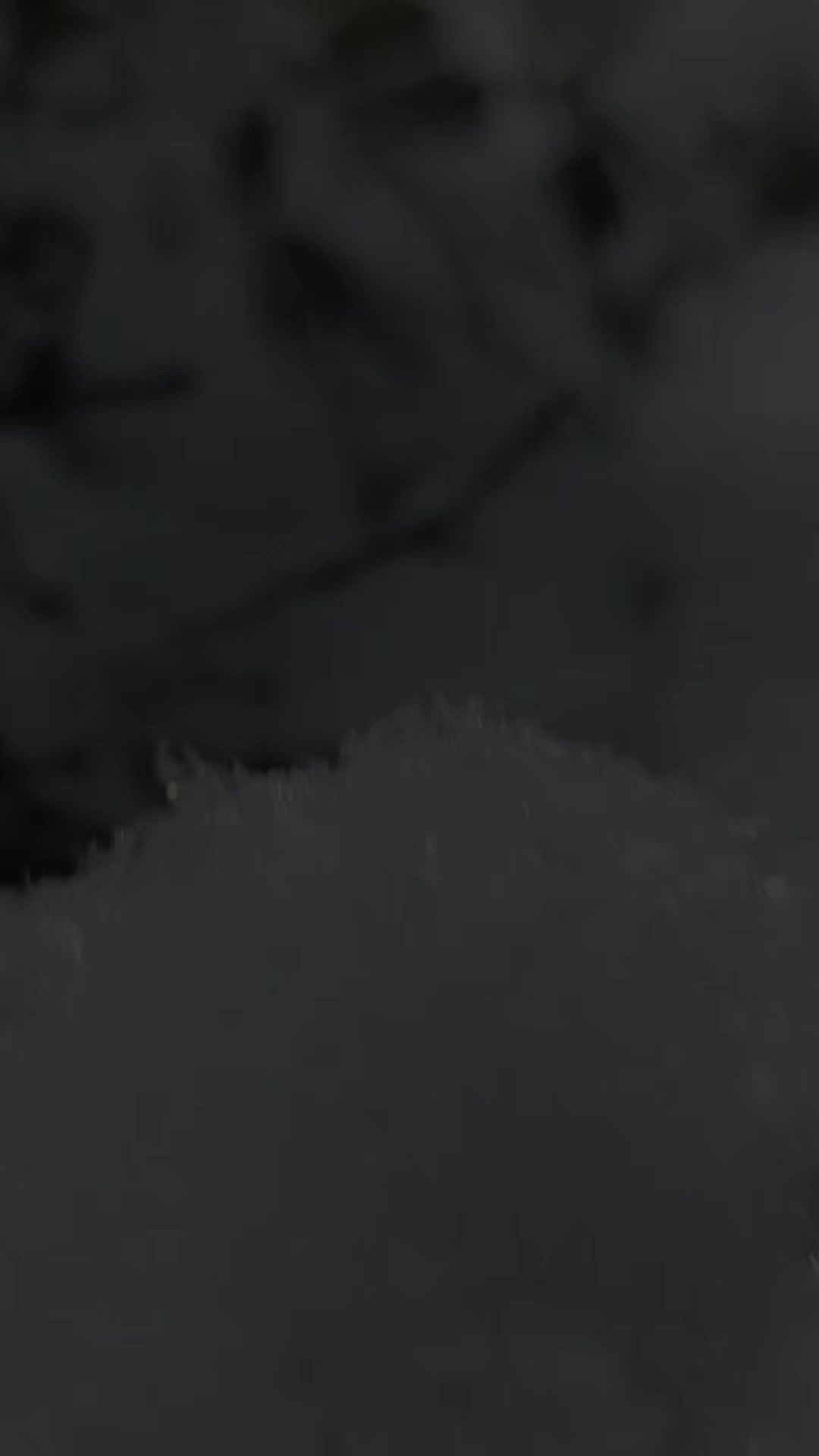 @RetroWinter