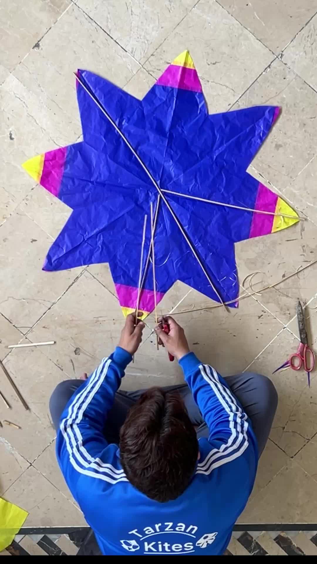 @Tarzan Kites