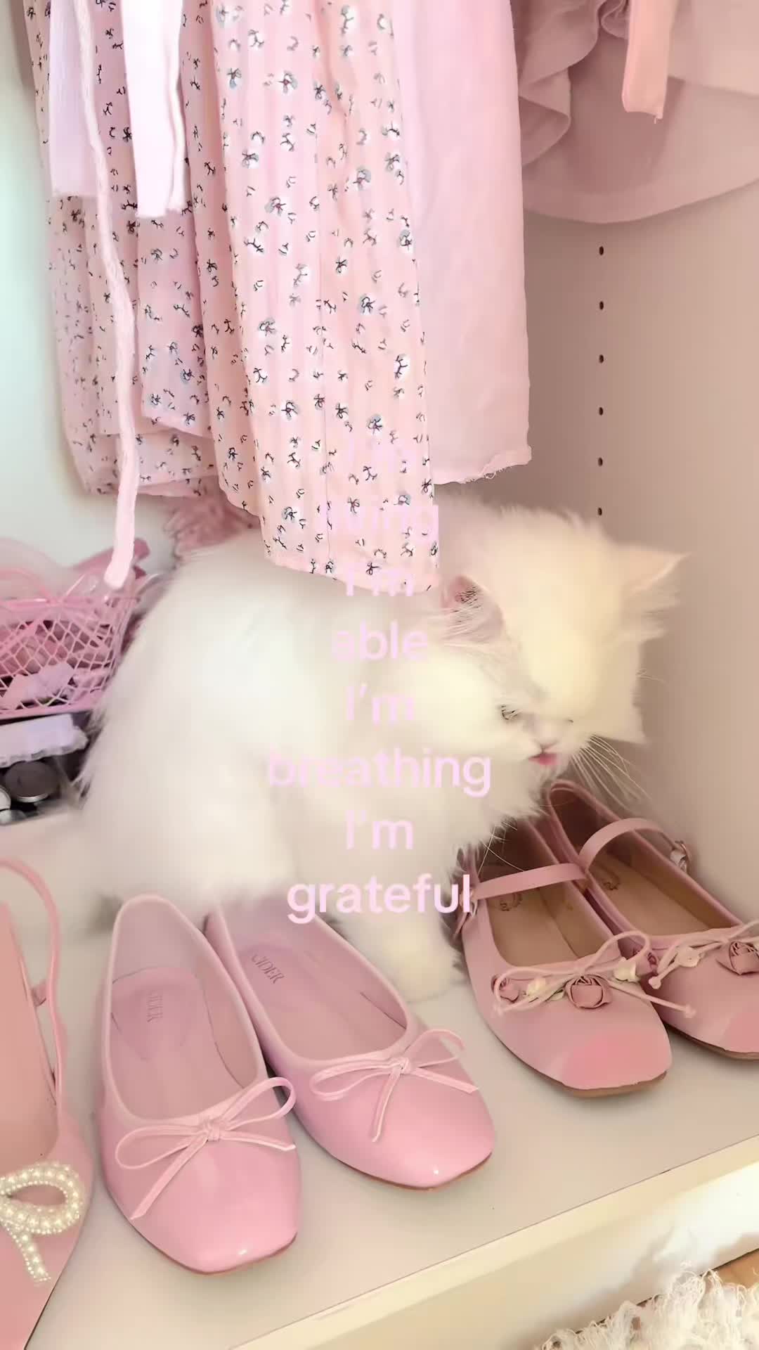 @PinkTok🩷🤙🏼