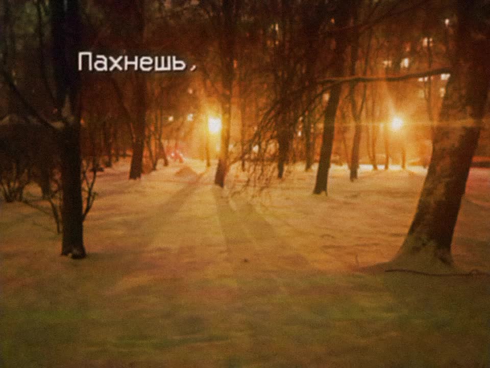 @♪𝘴𝘴𝘩𝘩𝘰𝘰𝘳𝘳𝘵𝘵𝘺𝘺♪