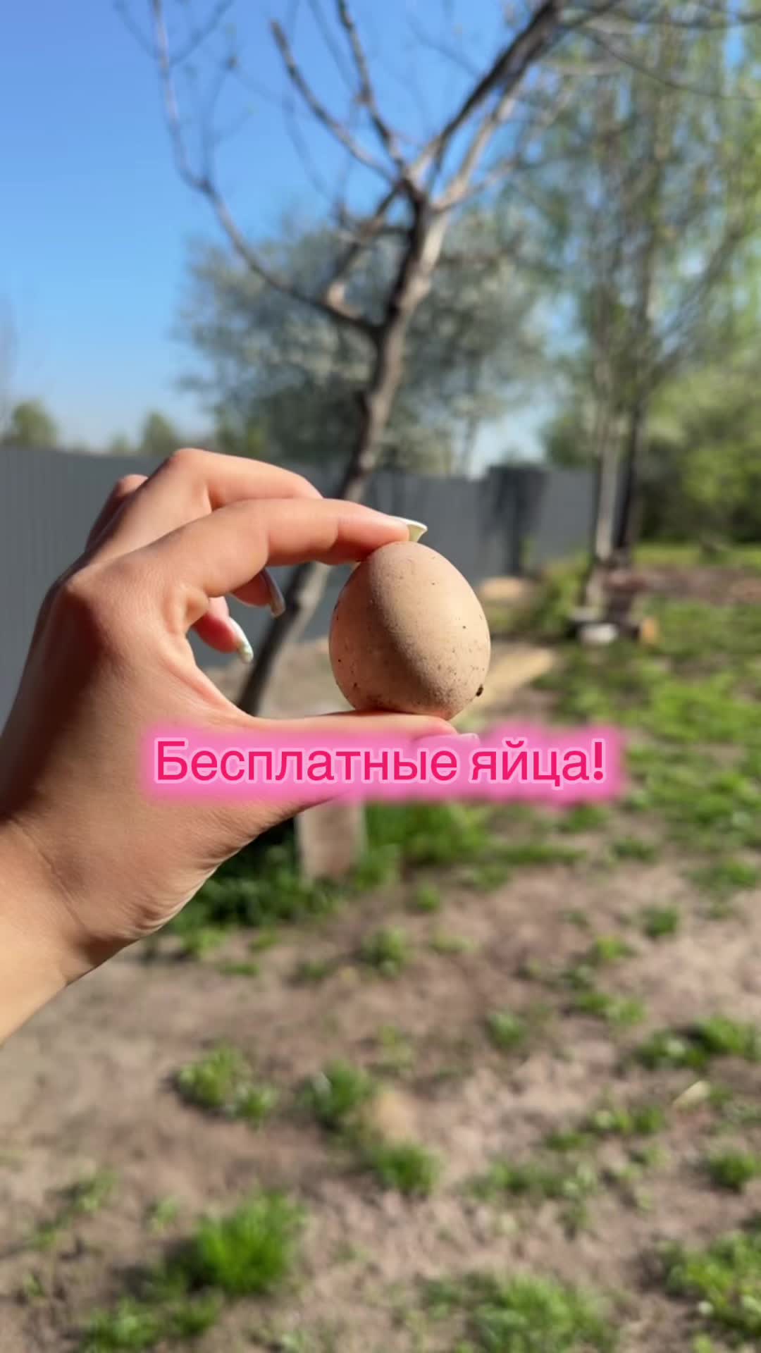 @Masha_Enina2003