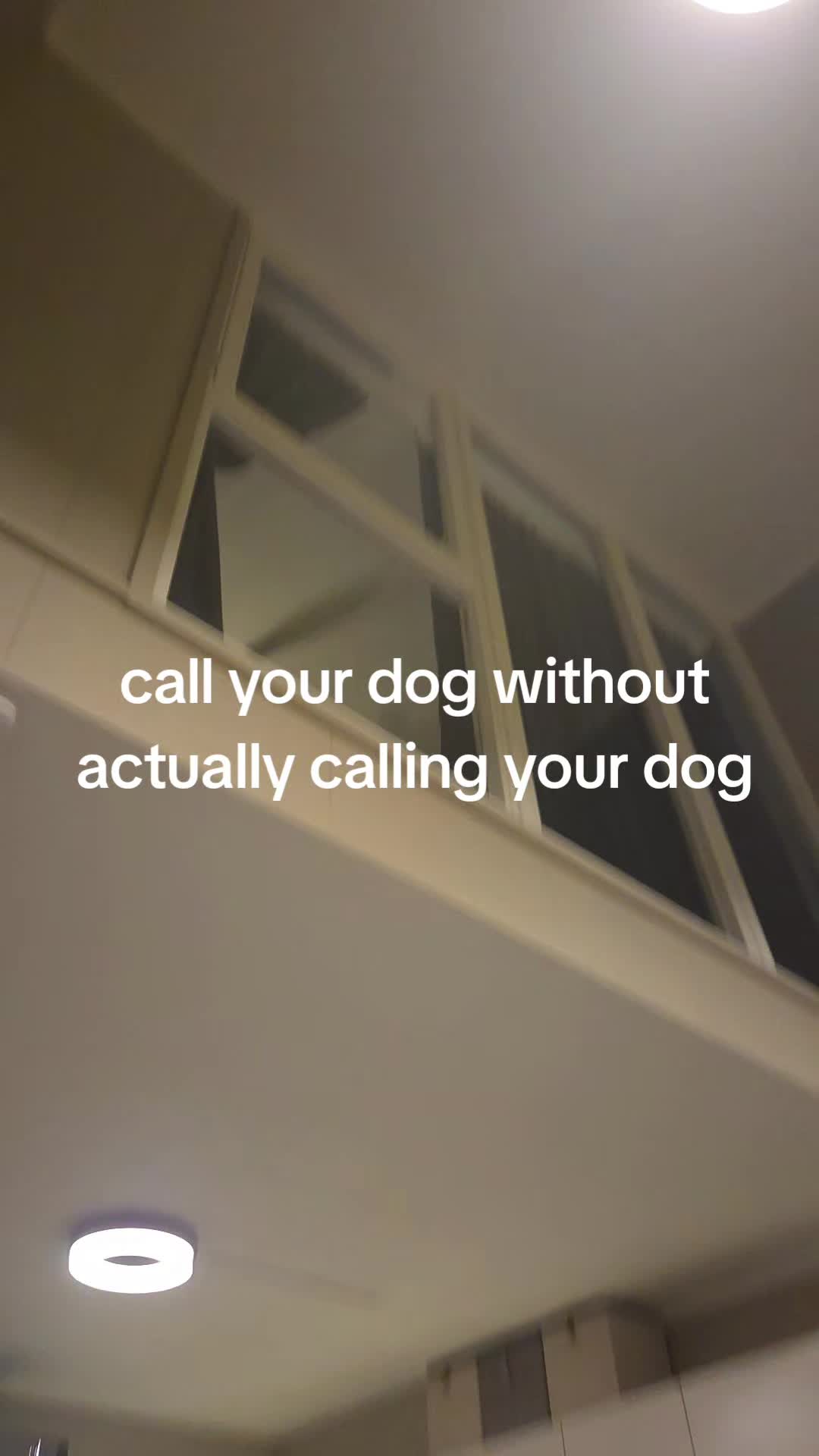 @Ingrid Knudsen