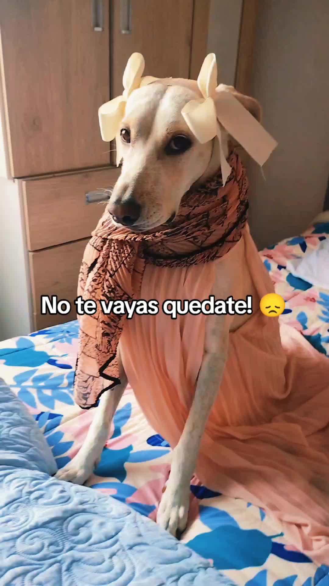 @winnie ❤🦮