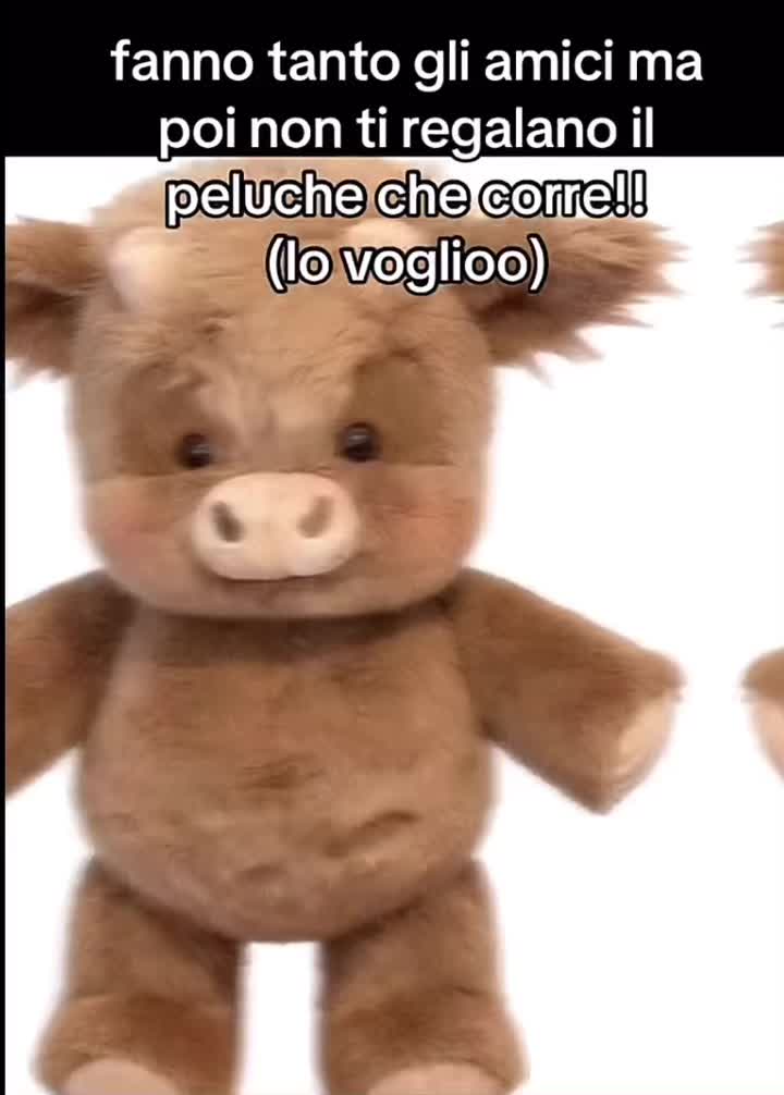@noe_spamm10