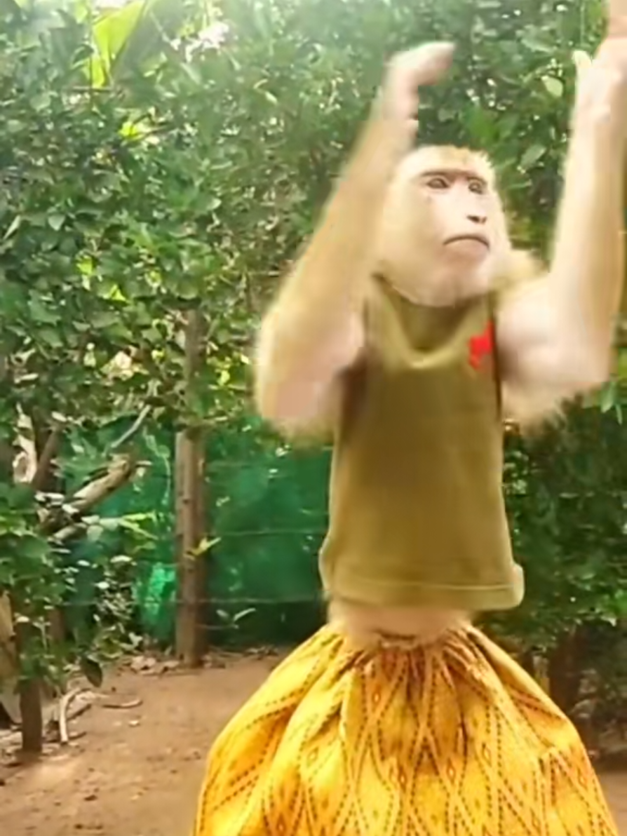 @monkeyYAYA