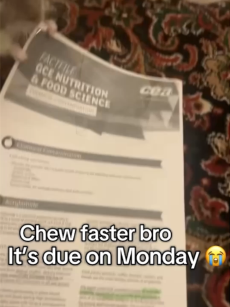 @Go Fetch