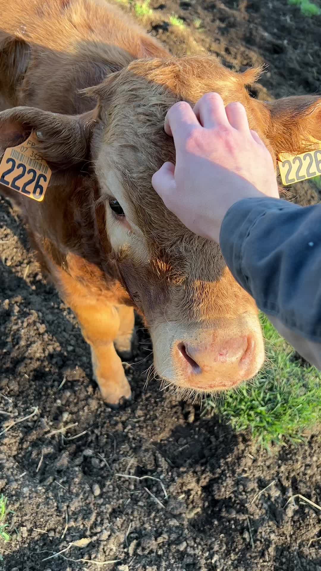 @CÉDRIC 🤠