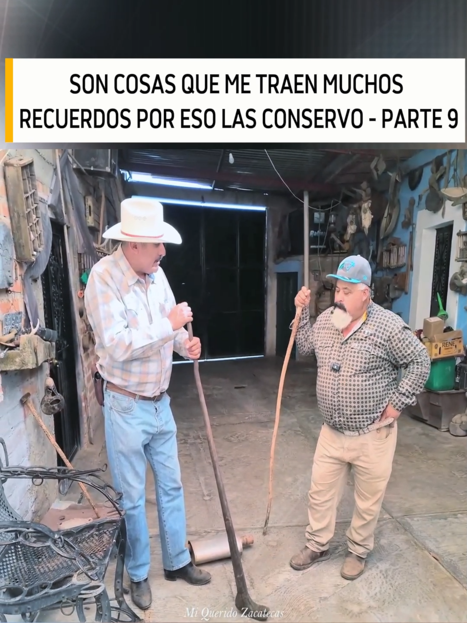 @Videos De Mi Querido Zacatecas