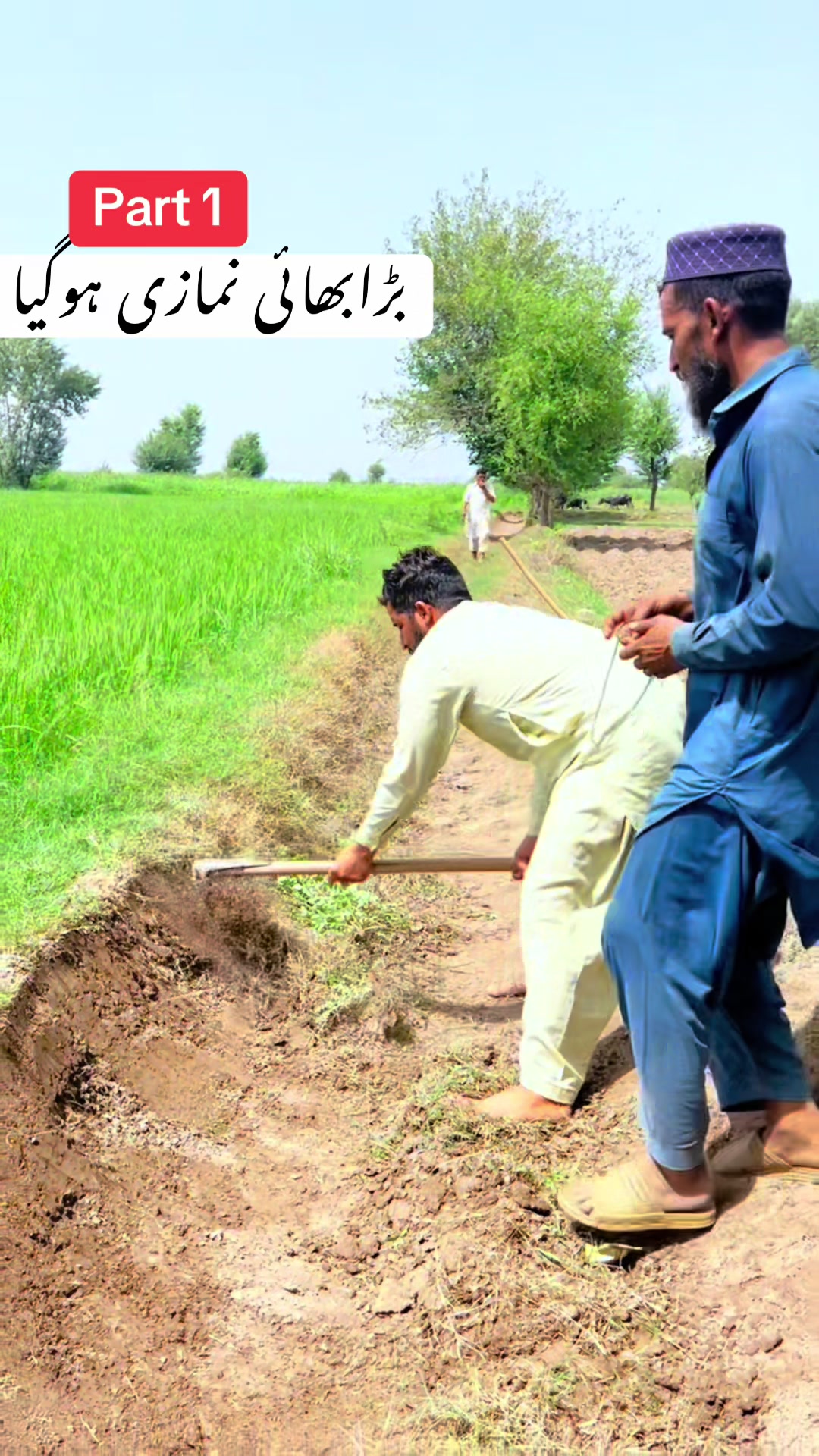 @پینڈو بوائز 378
