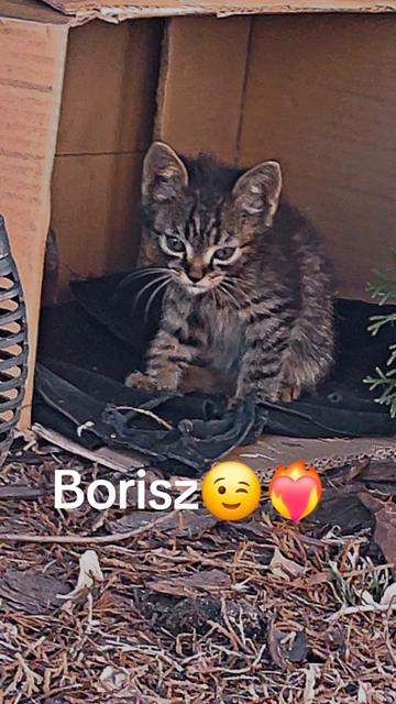 @Kriszti&aacute;n😊👋