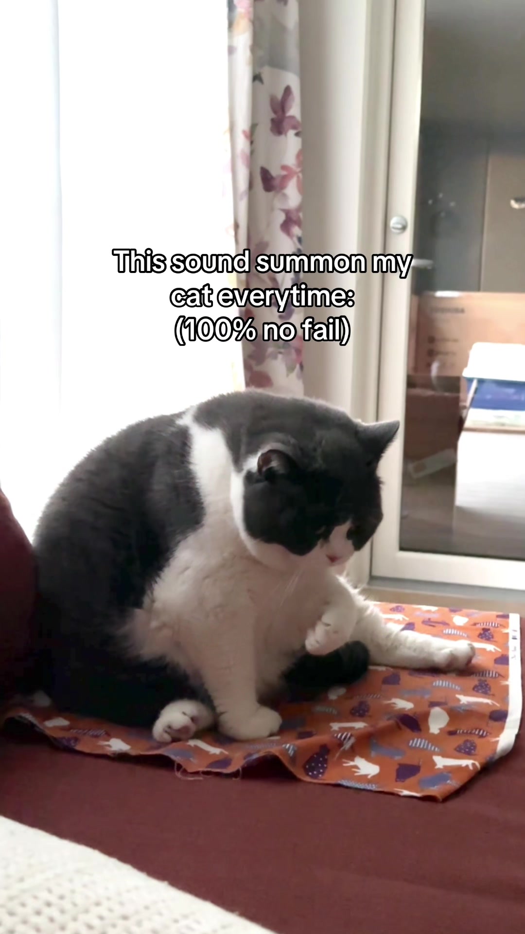 @Emojithecat
