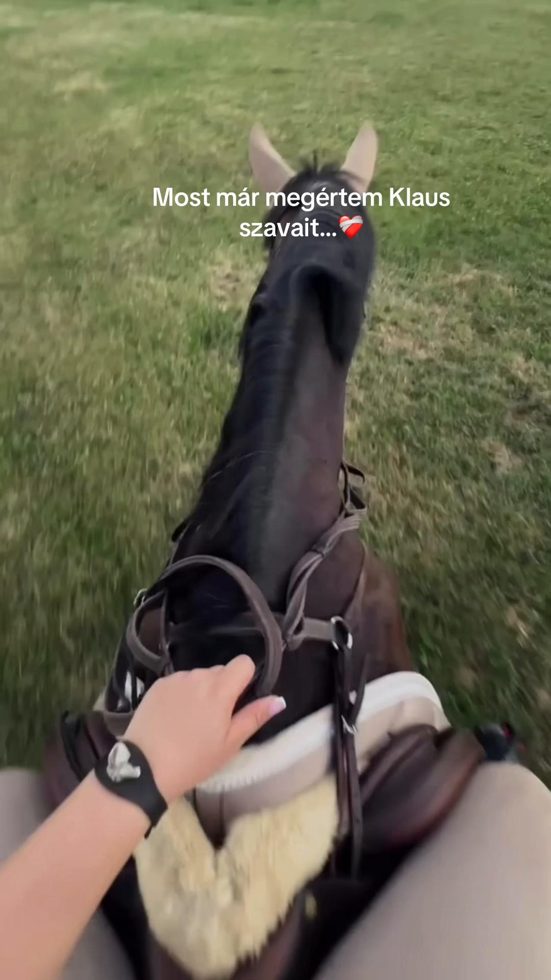 @B&D(Dóri)🥳