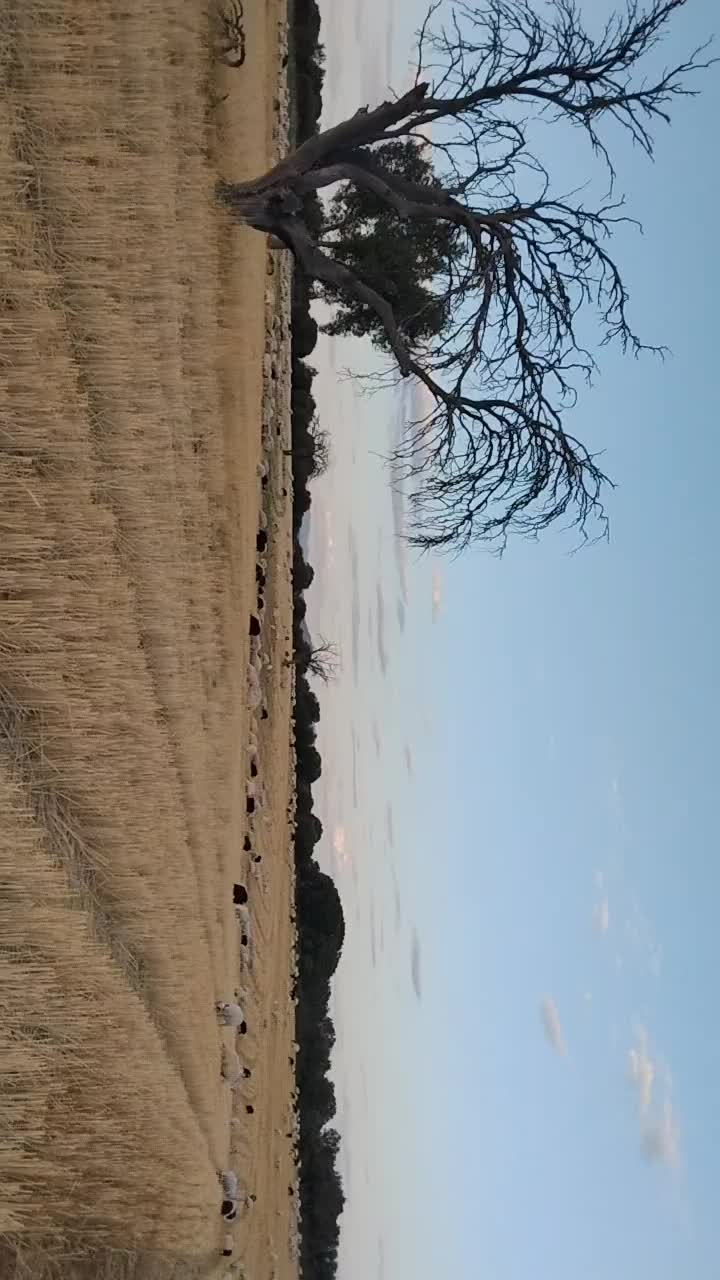 @Iv&aacute;n.