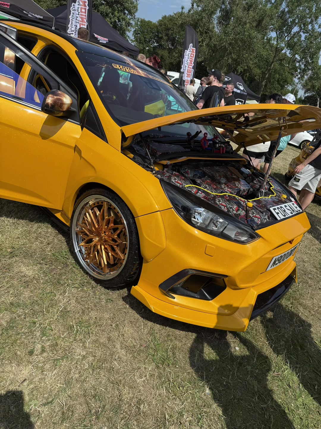 @Allan White265
