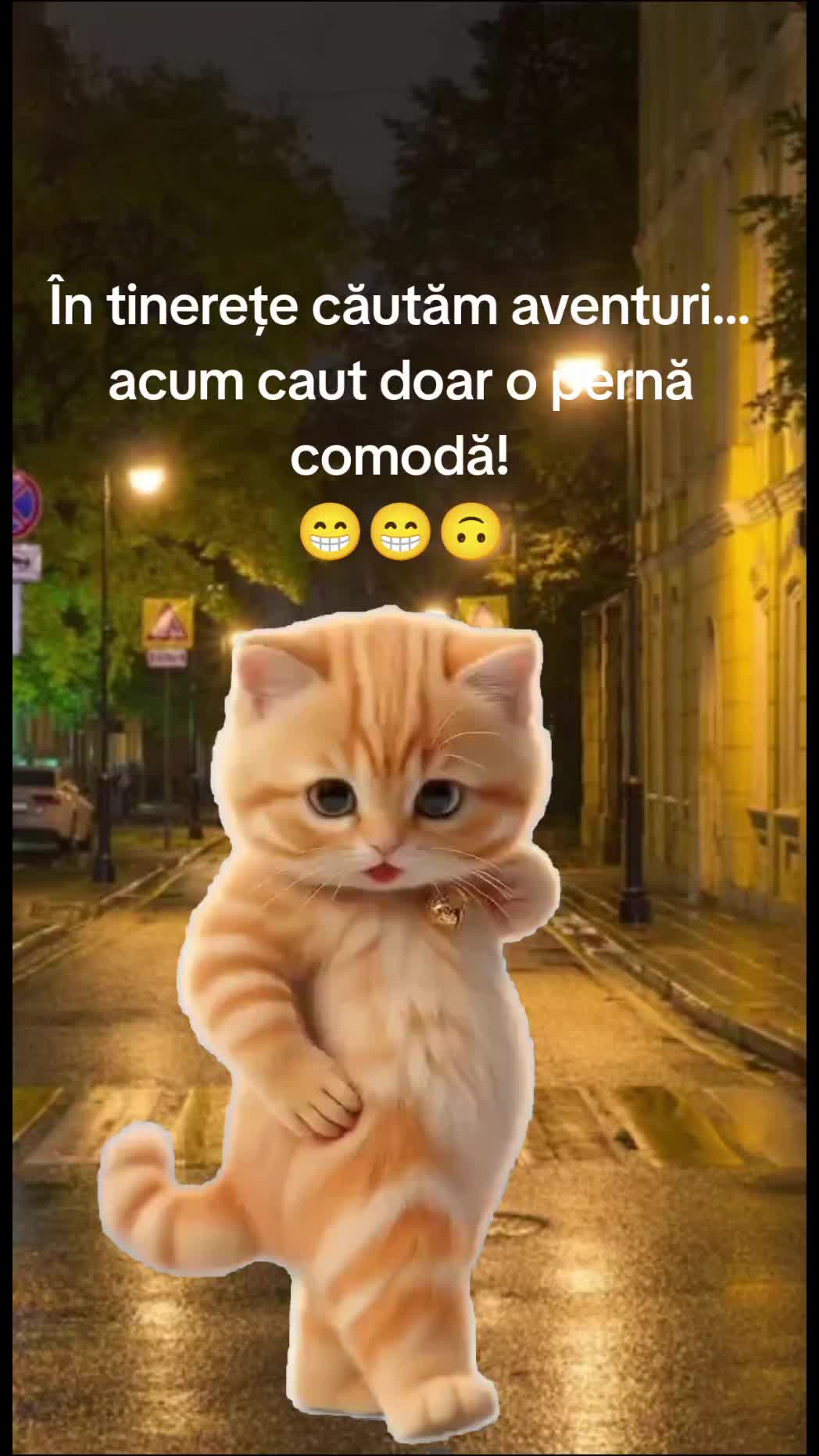 @Carmen Buhinschi