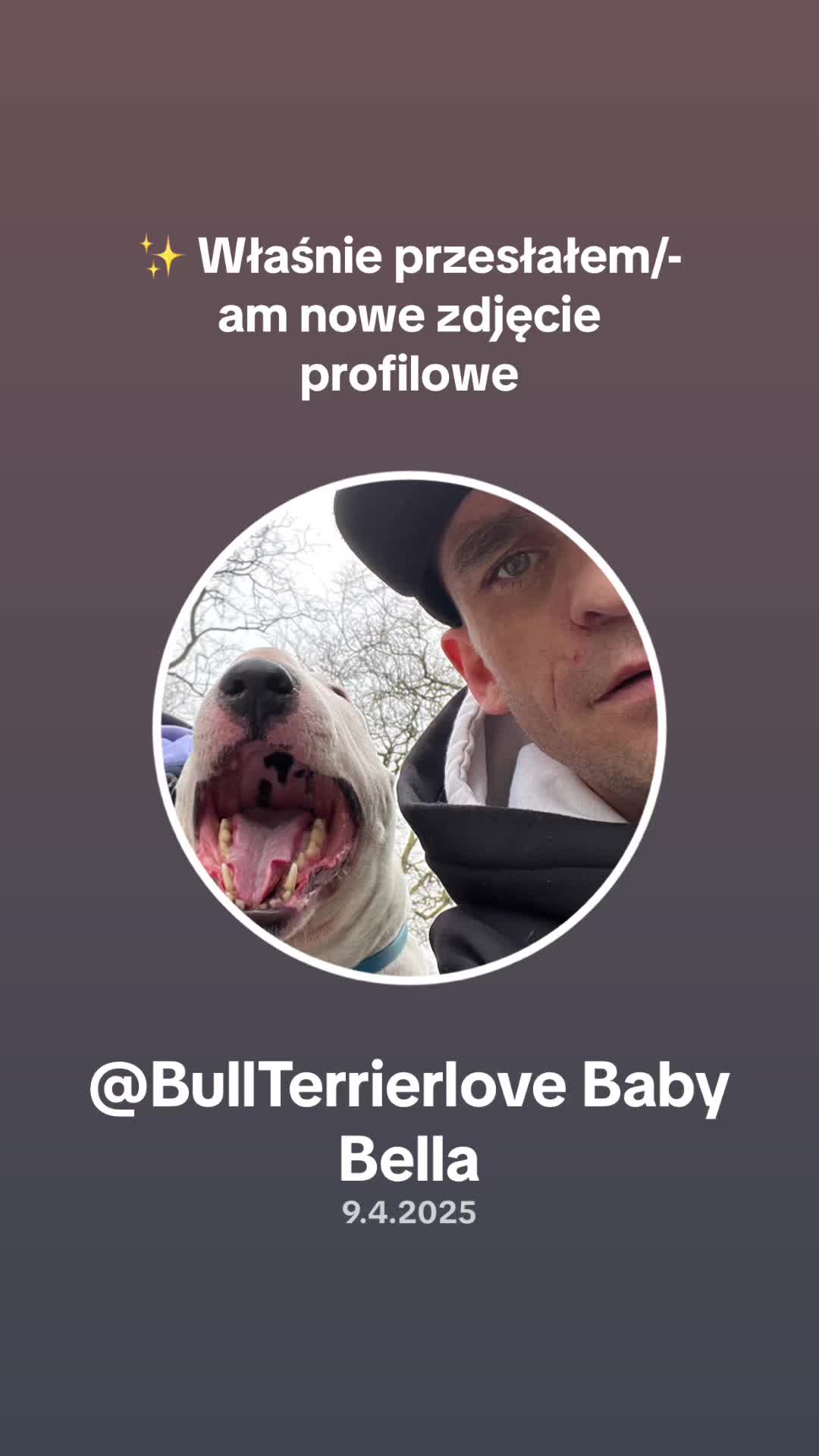 @BullTerrierlove Baby Bella
