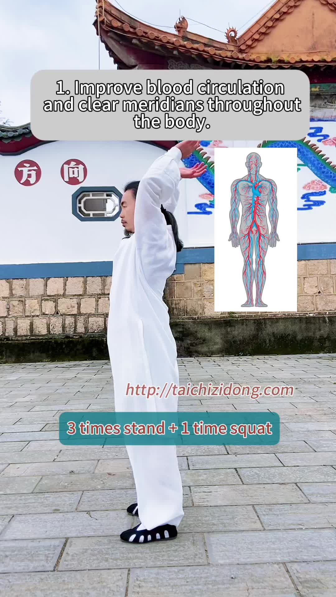@Wudang.Zidong