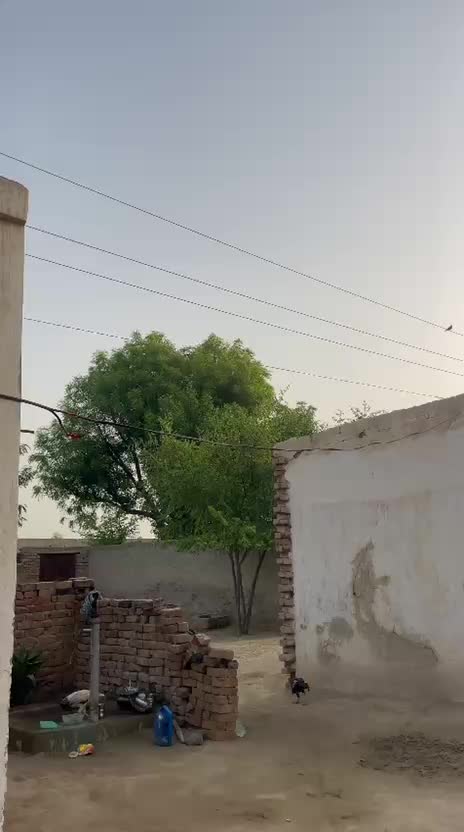 @judwaa vlog 5