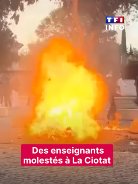@TF1 INFO
