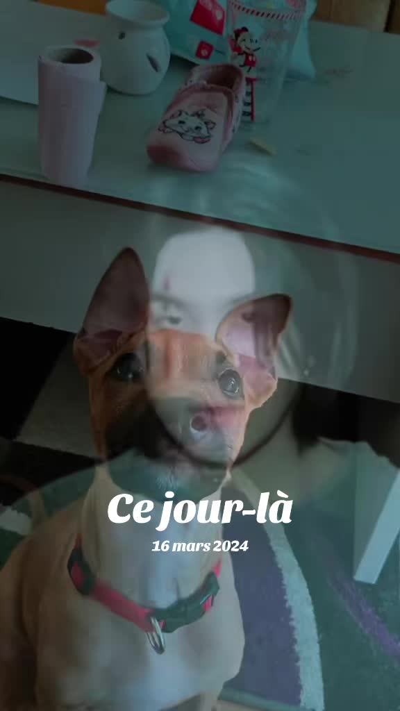 @💜Kimberley Lindsay Léana LPT