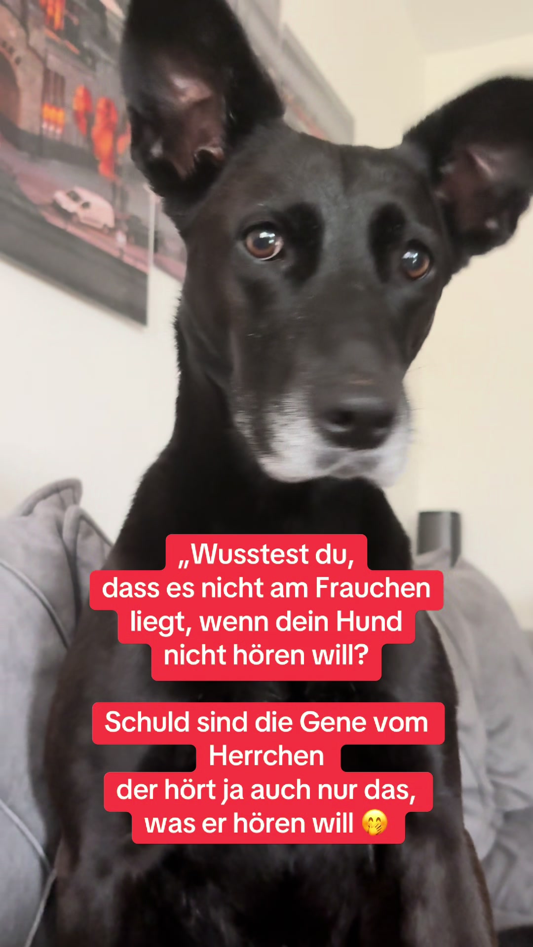 @BLACKY 🐶🐾