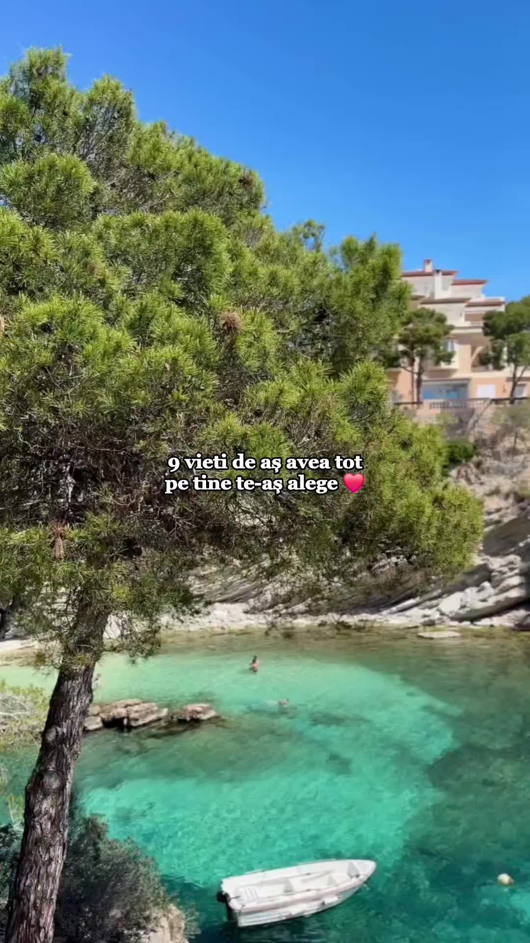 @Crișan Bogdan