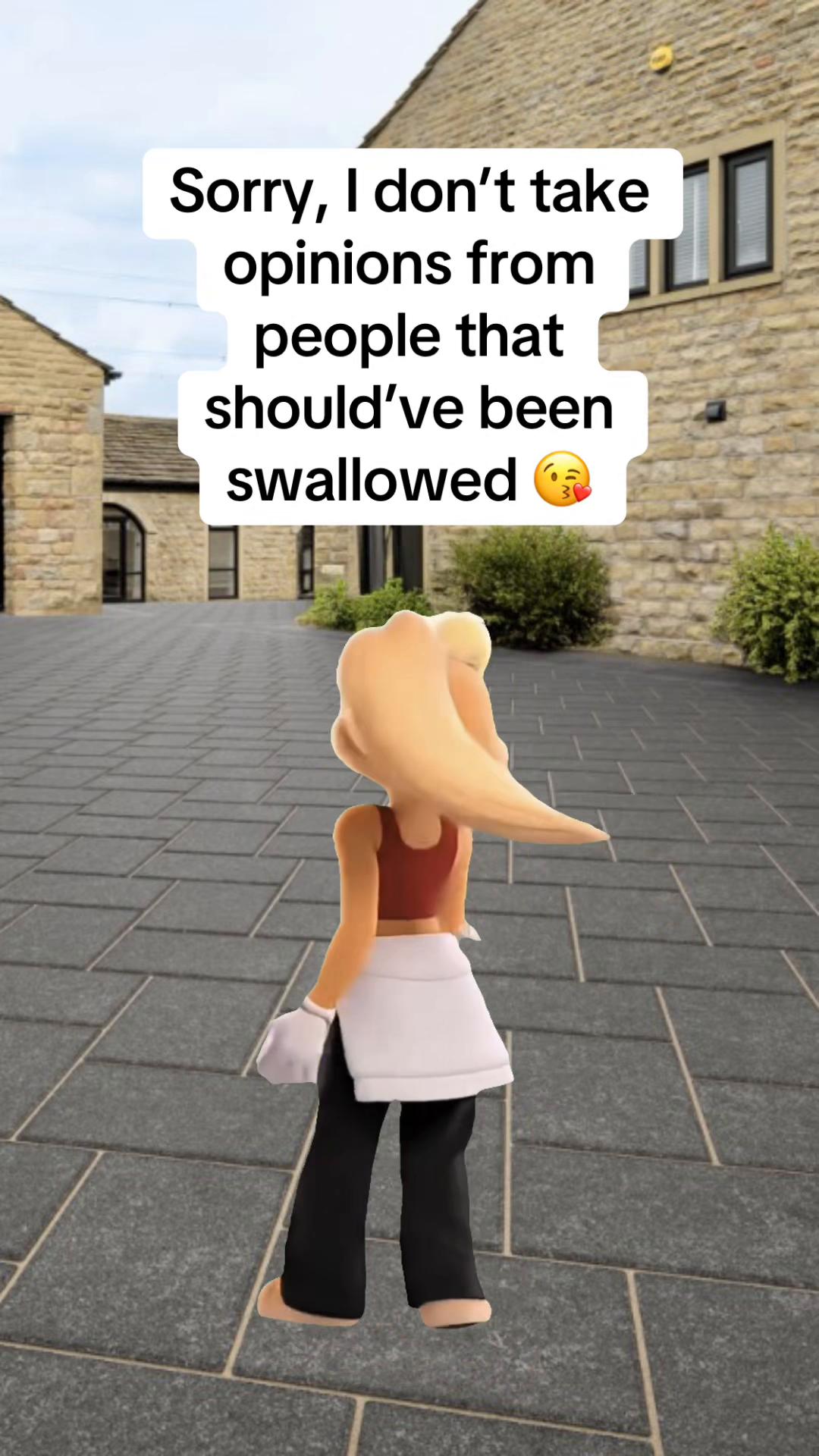@allymc063