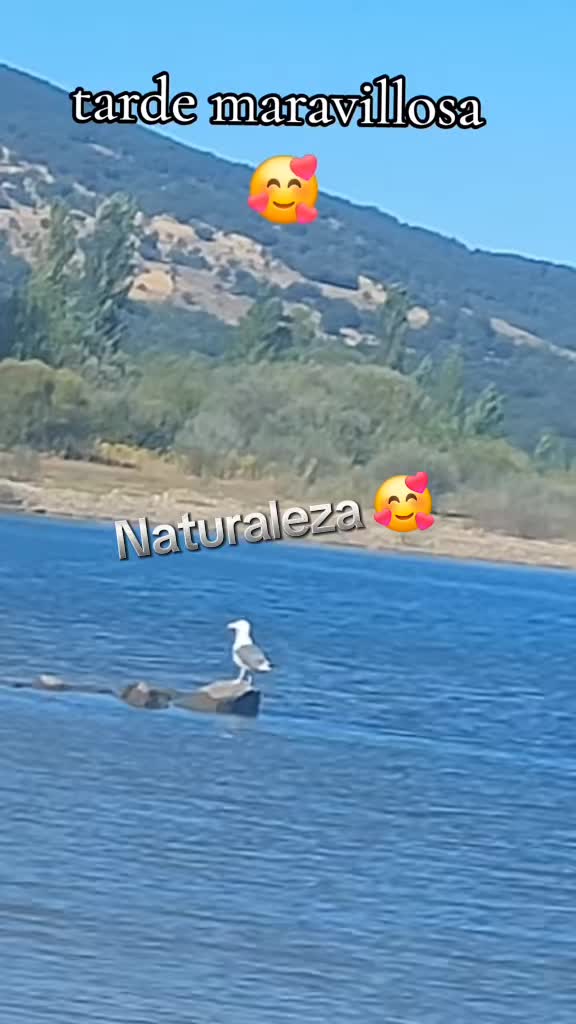 @Beatriz 🥰⚘️🇪🇨