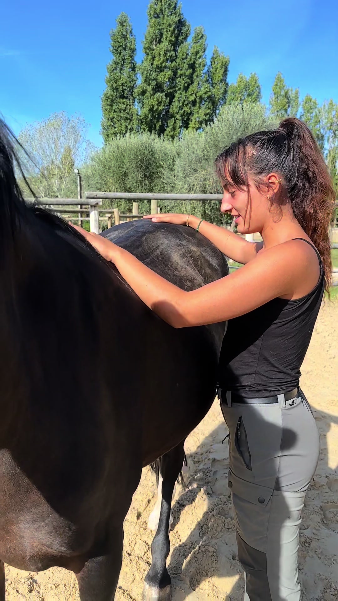 @Hannah&ensp;ost&eacute;opathie&ensp;animale&ensp;🐎