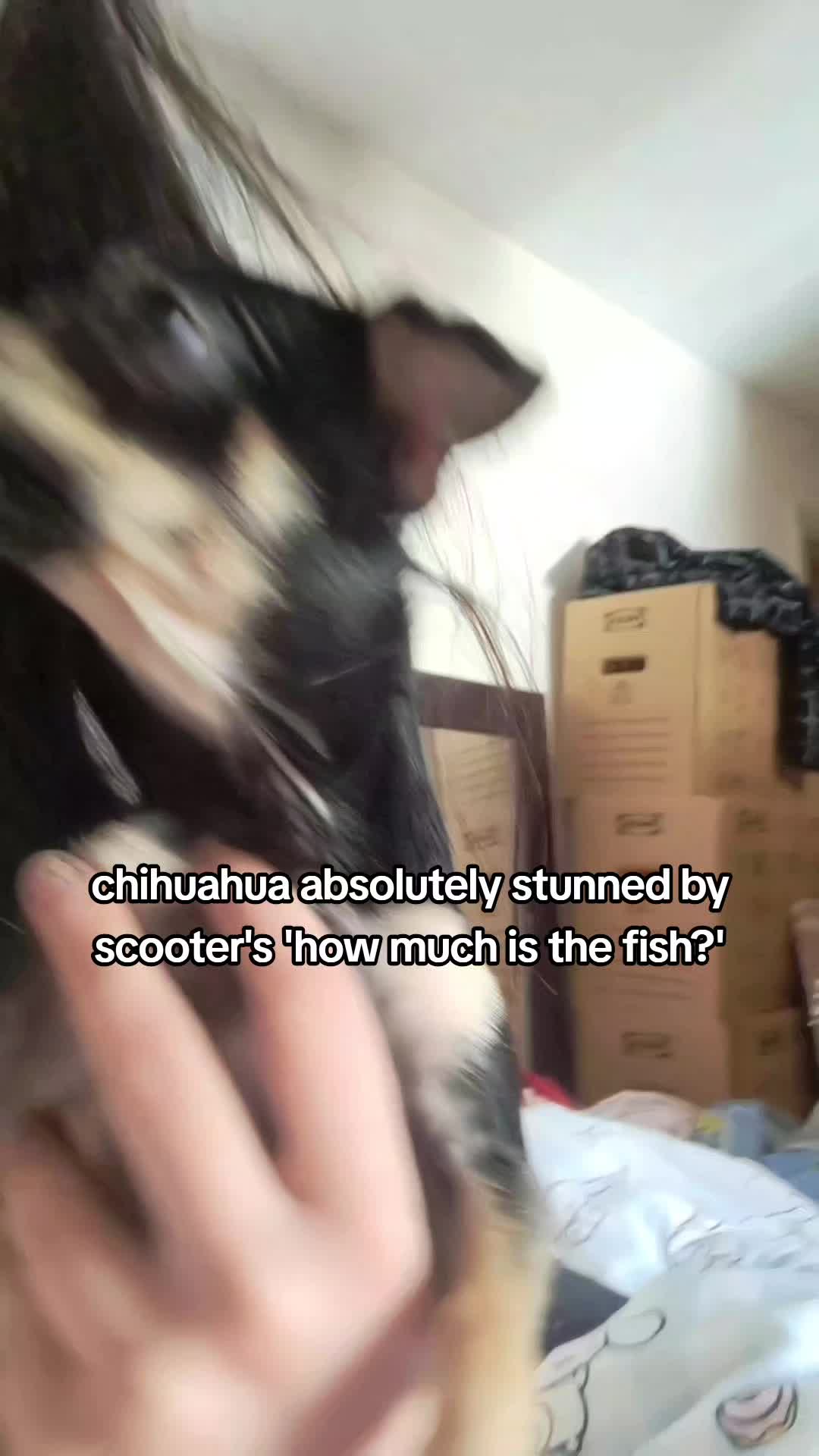 @pepper // pawggersgoth