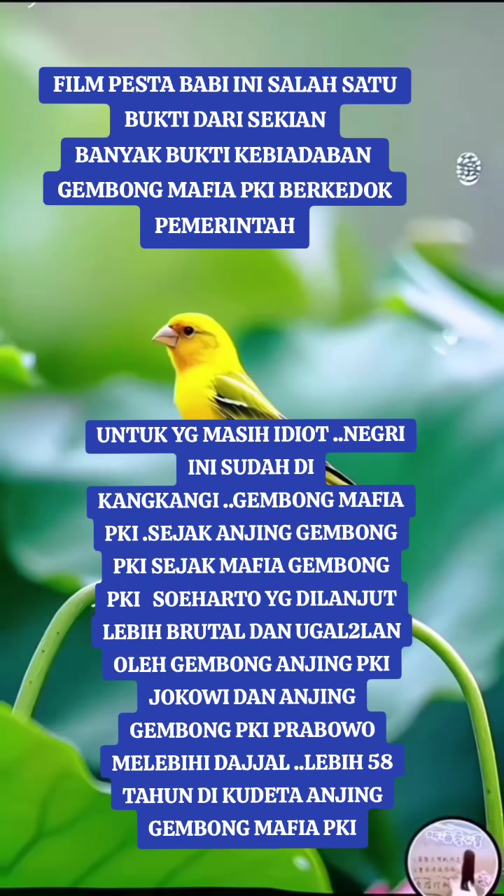 @RONAYU ANIK