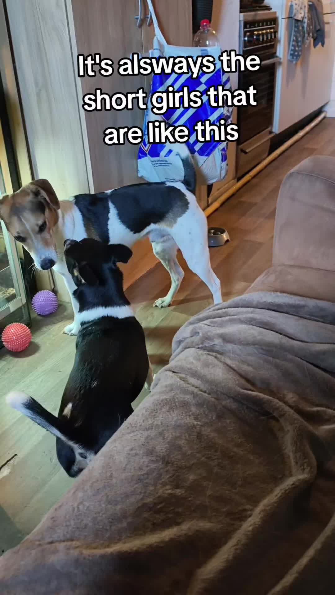 @Bestiesbeasties