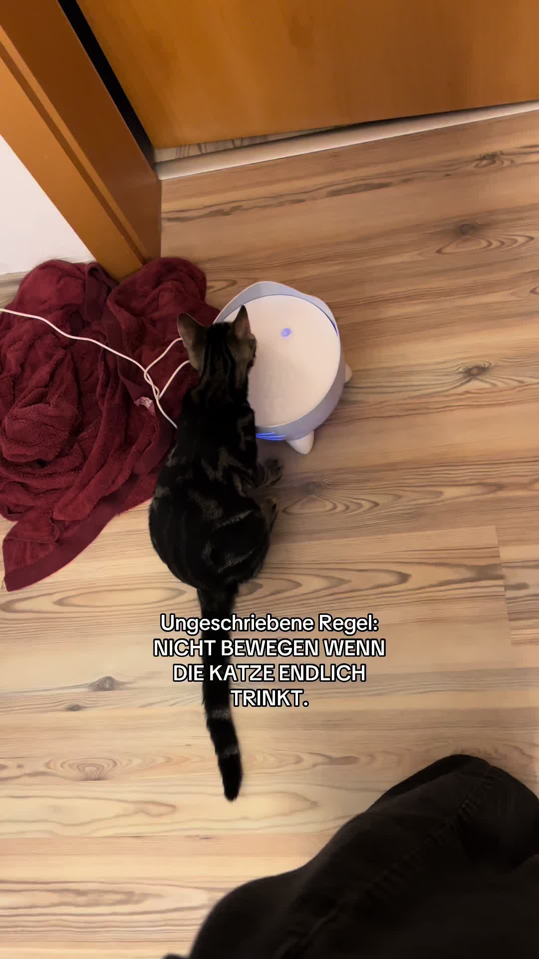 @ℰ 𝓋 𝑒 𝓁 𝓎 𝓃 &dagger;