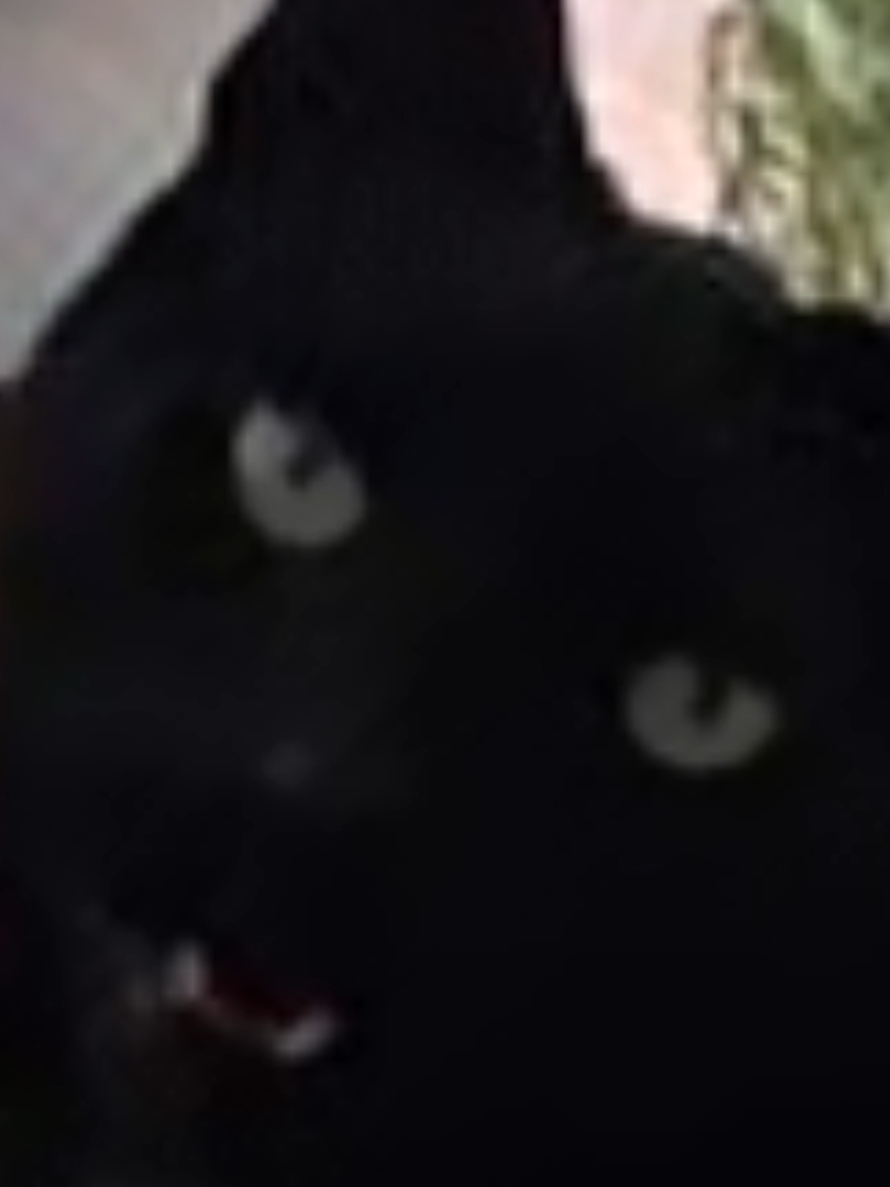 @Martinick