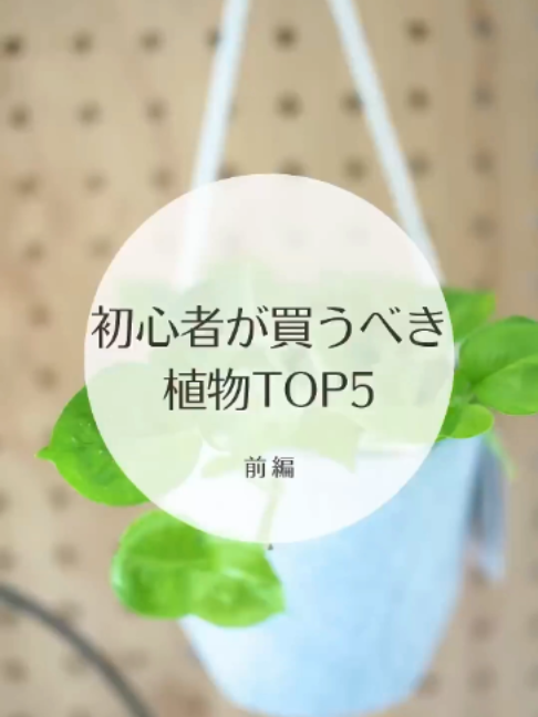 @KyotoTravelJP