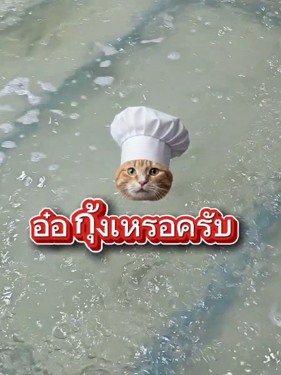 @แจดู🤹♂️