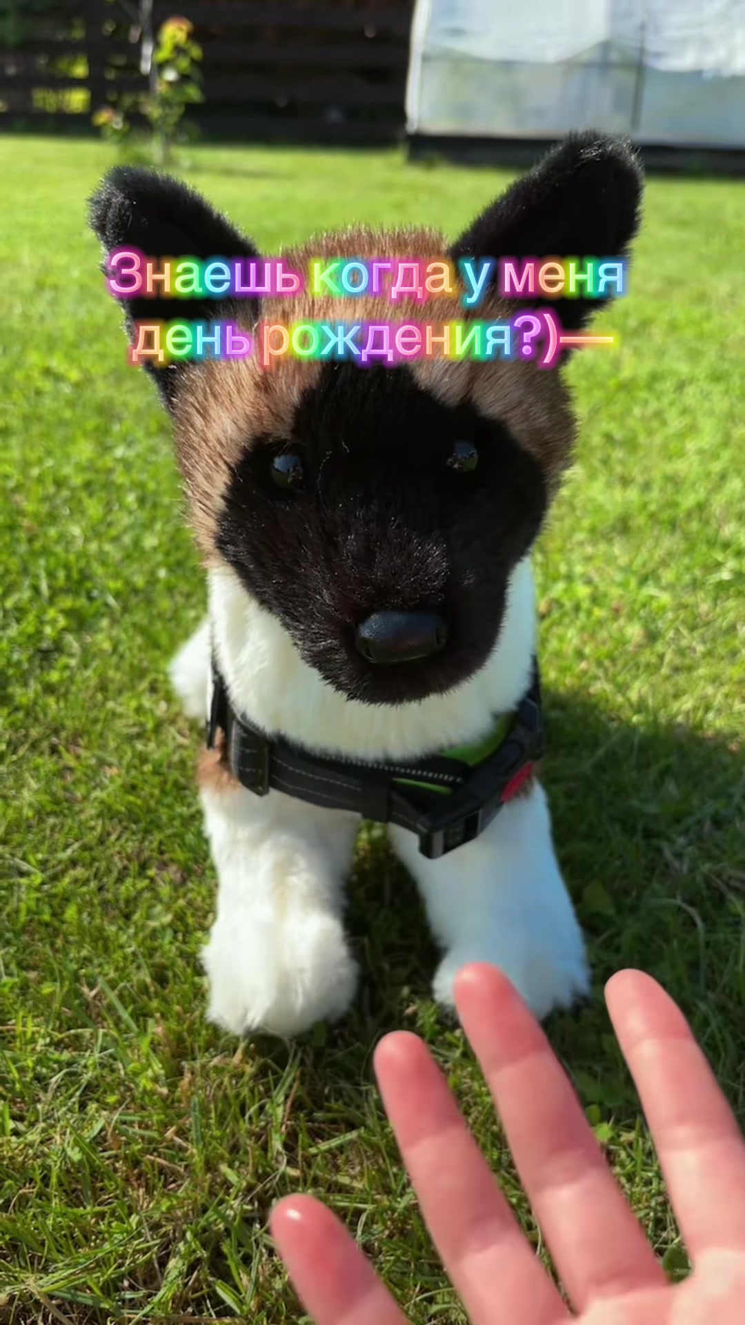 @𝑹𝒆𝒏𝒛𝒖!PDB⋆🪻🌑