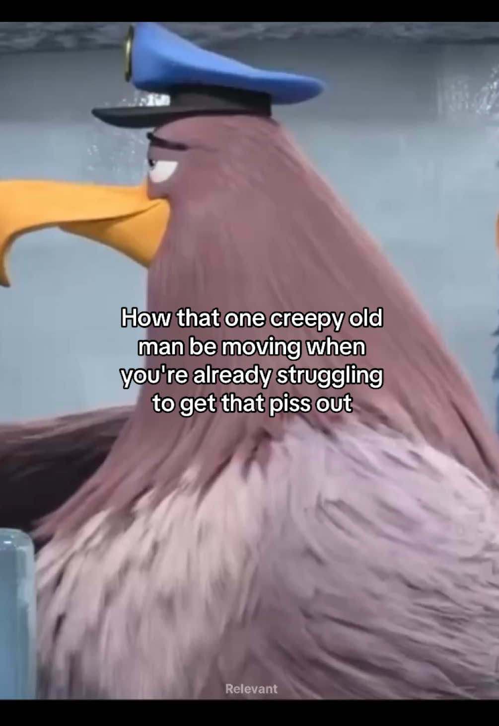 @Relevant