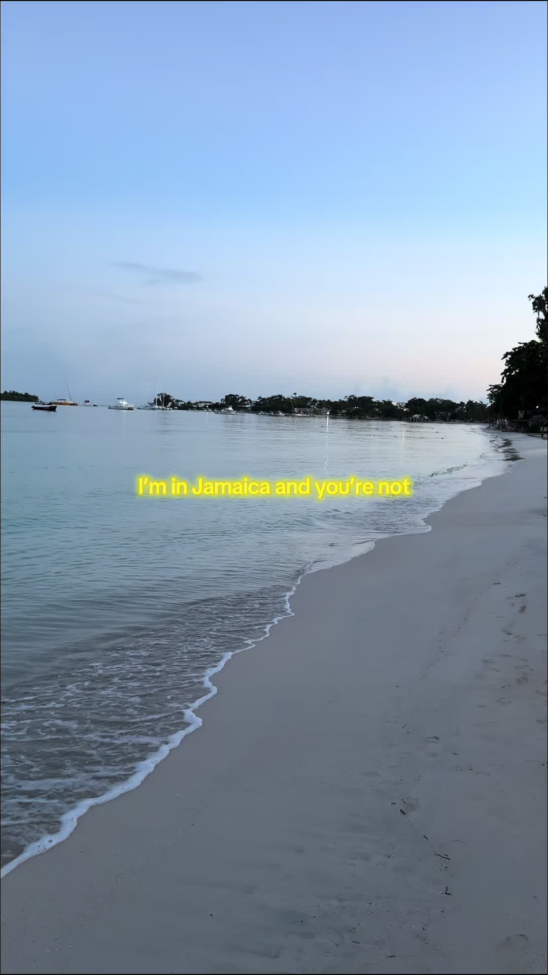 @mush__lover