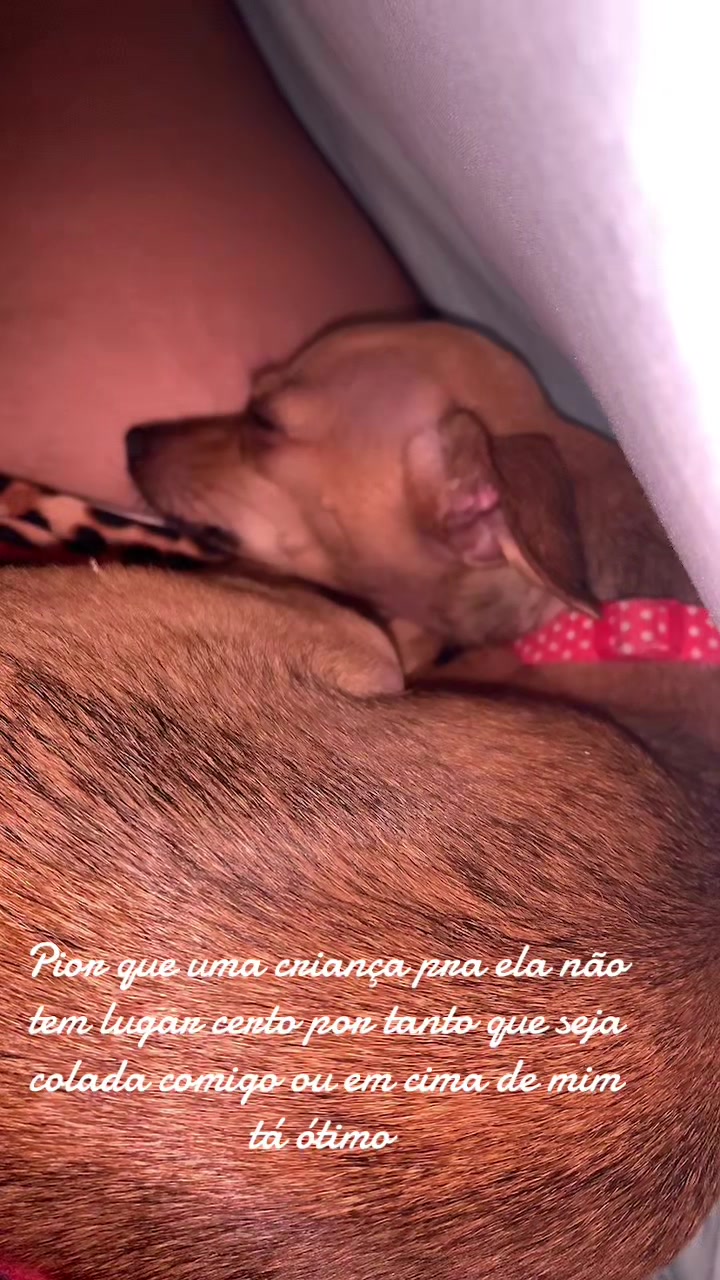 @jacquellynemarques