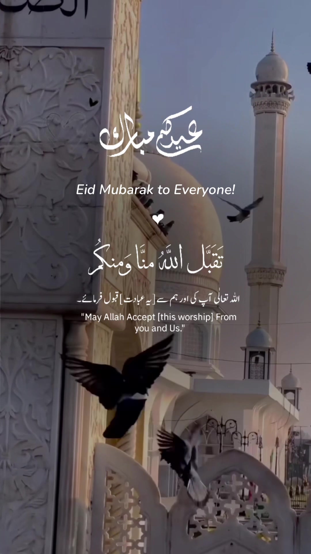 @๐ ๐๐ฌ๐ฅ๐๐ฆ๐ข๐ ๐๐๐ฐ๐๐ก๐