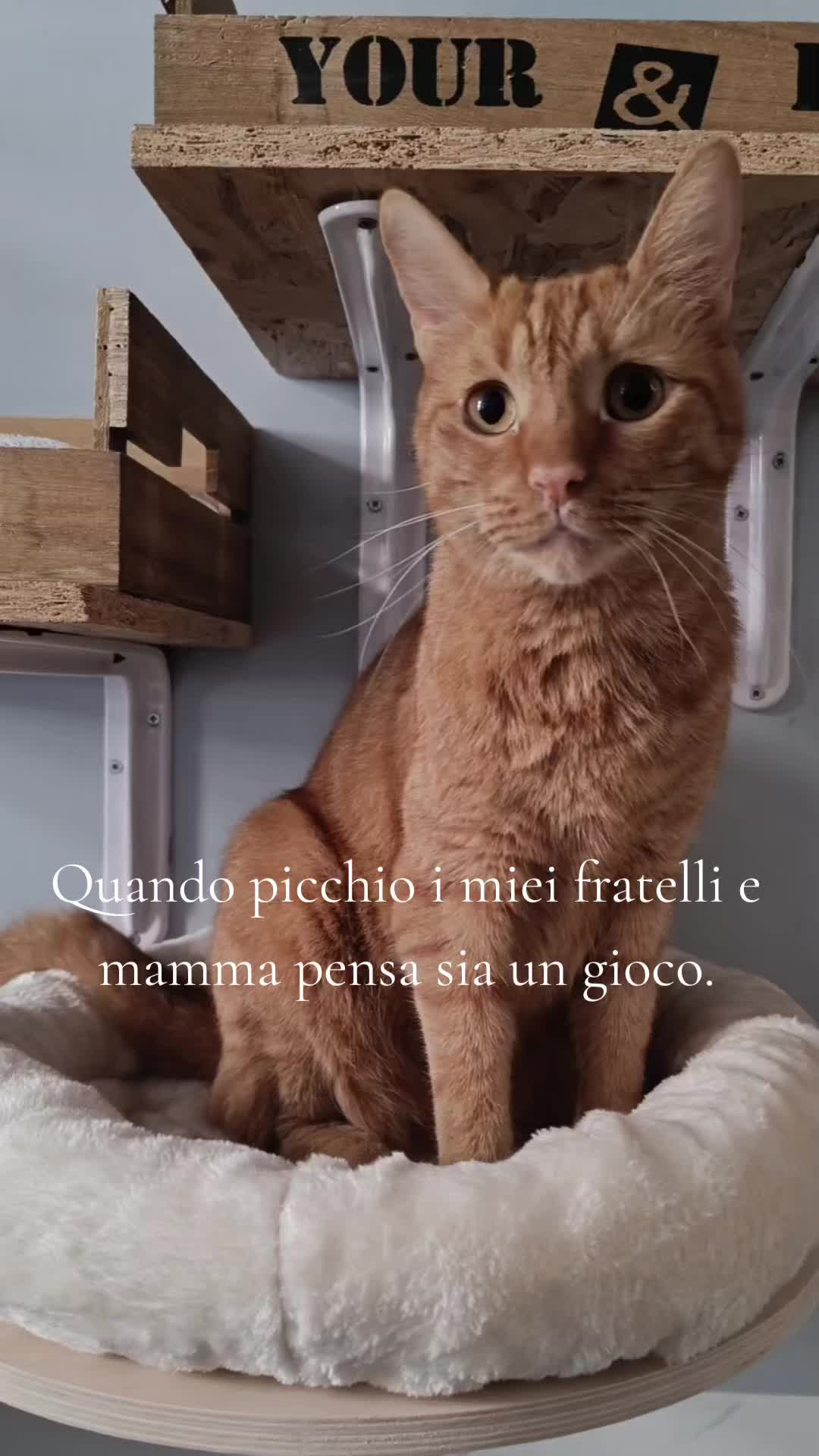 @Francesca Lanzill