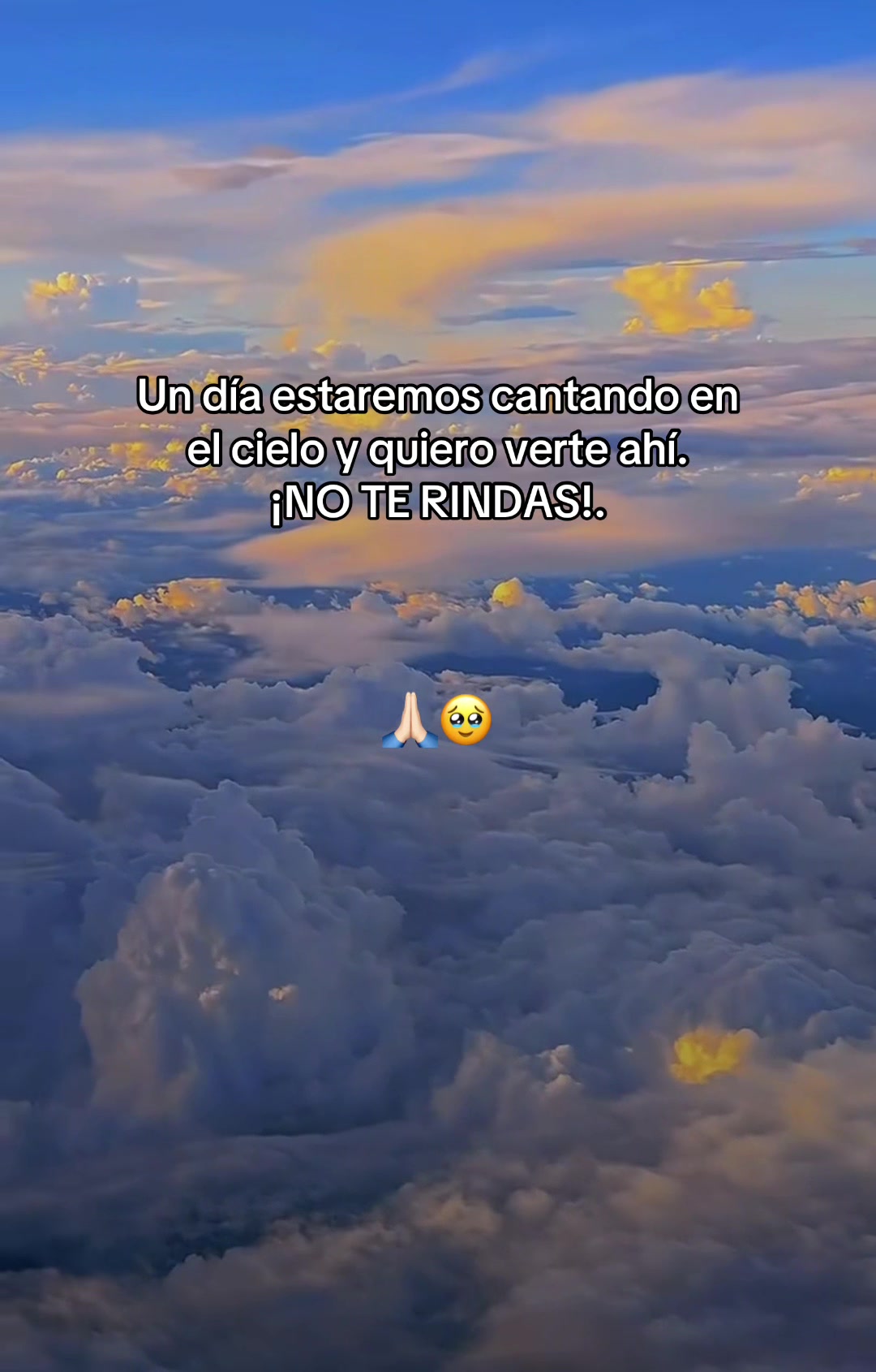 @Araceli Gómez Hdz❤️🩹